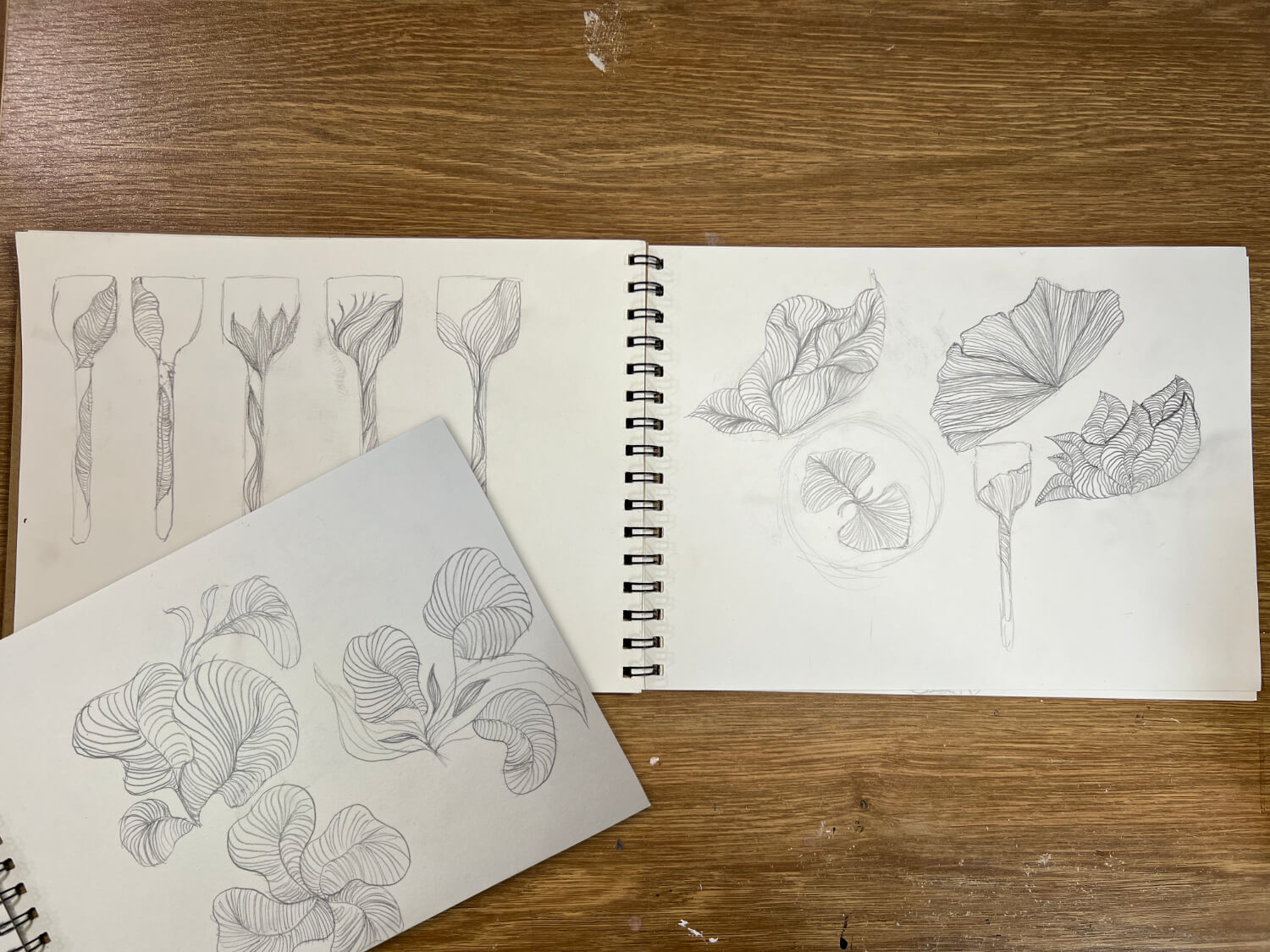 carnets de croquis