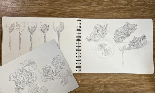 carnets-croquis